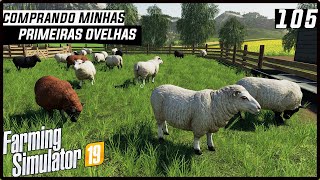 COMPRANDO MINHAS PRIMEIRAS OVELHAS  FARMING SIMULATOR 19 105 PTBR [upl. by Ffej586]