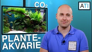 Planteakvarie med CO2 [upl. by Kensell905]