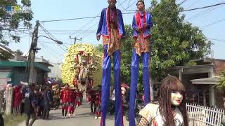 SINGA DANGDUT PJMJ  BISIKAN CINTA  PERGOSI ODONG ODONG PUTRA JULPAN MANDIRI JAYA [upl. by Adlaremse]