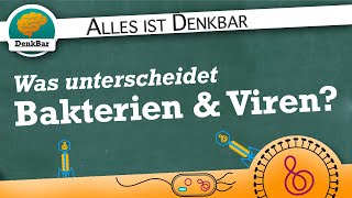 Unterschiede von Bakterien und Viren [upl. by Ahsas]