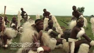 Celebrating Zulu Heritage Through Tribal Dance [upl. by Froemming]