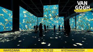 Wystawa VAN GOGH  MultiSensory Exhibition [upl. by Cote]