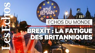 Brexit  les Britanniques sont « atterrés » [upl. by Etnovad]