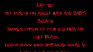 Evanescence HeartShaped Box Acoustic Lyrics [upl. by Aisined928]