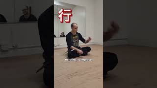 What is Shugyo bujinkan martialarts dojo [upl. by Takeo]