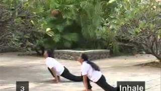 Suryanamaskar  SV150JM [upl. by Rochkind332]