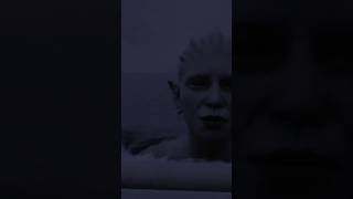 TERRIFYING LAKE MONSTER CAUGHT ON CAMERA [upl. by Ramey]