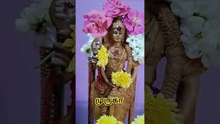 சஷ்டி 6 ஆம் நாள்  shorts murugan kandhasashti sashti sashtifasting lordmurugan trending yt [upl. by Applegate]