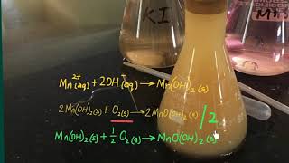 Winkler Titration [upl. by Ari]