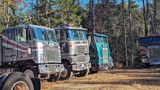 Cabover Kings Trailer Teaser trucking [upl. by Vocaay]