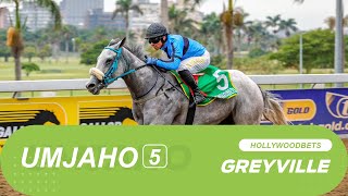 20241023 isiZulu Hollywoodbets Greyville Race 5 won by FOREST JUMP [upl. by Aslehc]