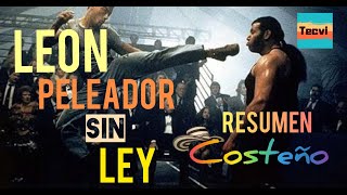 León peleador sin ley  Resumen Costeño [upl. by Merl]