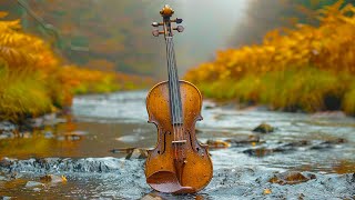 Heavenly Cello amp Violin Music 🎻 Relaxing Background Instrumentals [upl. by Kaltman56]