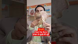 इंसान के कूल्हे की हड्डी । Real Hip Bone viral shorts [upl. by Gui]