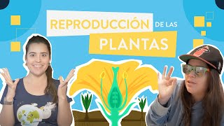 La reproducción de las plantas [upl. by Notsuj]