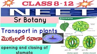 Stomata activity మొక్కలలో పత్రరంద్రాల ప్రయోగం [upl. by Soigroeg396]