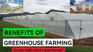 Everything You Need To Know About Greenhouse Farming [upl. by Katushka]