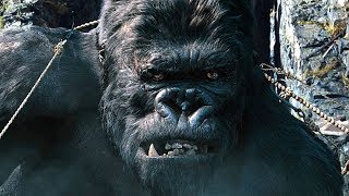 Capturing Kong Scene  King Kong 2005 Movie Clip HD [upl. by Esirehs]