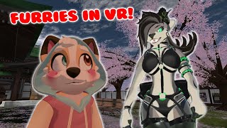 FURRIES SMASH IN VR  Furries Play VRCHAT  March 1 2024 [upl. by Dirraj]