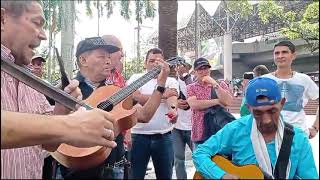 CON LA PINGA PARA  Los auténticos del ritmo Parque Berrio [upl. by Riamo]