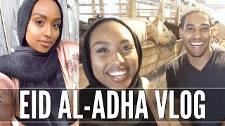 EID ALADHA VLOG 2017  Trying Somali Food amp Horseback Riding  Aysha Abdul [upl. by Brodench]