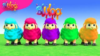 Baa Baa Black Sheep Song  Colorful Sheep  BluLoo Nursery Rhymes amp Kids Songs [upl. by Yeliab]