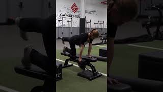 Bird Dog 1 Arm DB Row [upl. by Conrade]