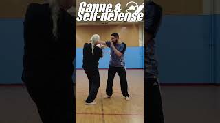 Canne amp Selfdéfense  Luxation dépaule selfdefense martialarts baton selfdefense [upl. by Onin]