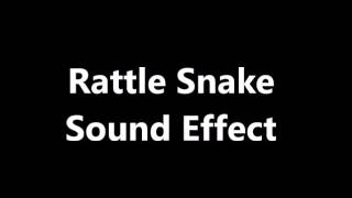 Rattle Snake Sound Effect [upl. by Avi]