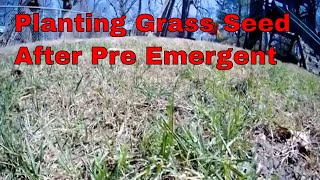 How To Plant Grass Seed After A Pre Emergent [upl. by Vaclav]