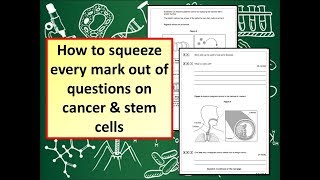 How to answer GCSE 19 Biology questions on cancer amp stem cells [upl. by Nylecoj]