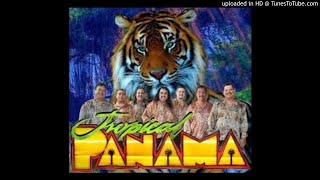 Tropical Panamá mix románticas DJ MG [upl. by Anawal538]