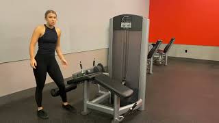 How To Adjust Lying Hamstring Curl Machine [upl. by Larkins]