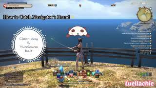 How to Catch Navigator’s Brand Fish in FFXIV [upl. by Steep]