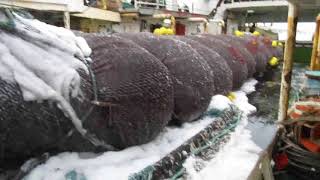 ARRASTRE DE FONDO EN LAS MALVINAS TRAWL FISH MALDIVES [upl. by Aissyla493]