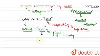 Name the type of human HIV attacks on its entry into The body Explain into Explain the event [upl. by Debarath]