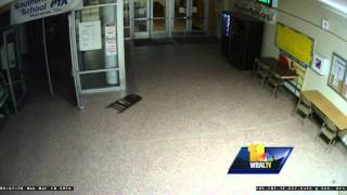 Raw video Deer crash into school to escape dogs [upl. by Arobed]