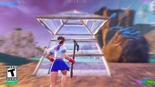 Fortnite RTX 4060 Ti 8GB  R5 5600X Low Settings  300 FPS [upl. by Bekki]