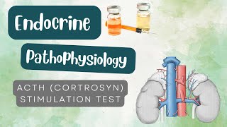 ACTH stimulation test [upl. by Grunberg971]