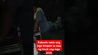 mga kuting tinapon sa taas Ng truck [upl. by Murdock]