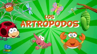 Los Artrópodos  Videos Educativos para Niños [upl. by Michele]