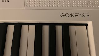 New Roland GoKeys 5  Build Quality Issues  Buyer Beware [upl. by Gmur]