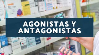 Agonistas y antagonistas [upl. by Daveta]