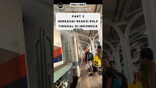 Reaksi Bule Tinggal Di Indonesia Pohon Besar Bikin Kesurupan⁉️ reaksibule shorts viralvideo [upl. by Ayrotal]