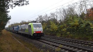 Güterverkehr Schiene 🚇 Bergstraße 📹 PfungstadtBickenbach 📹 1112024 [upl. by Tedie]