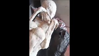 New Nazca mummies presented  update [upl. by Tsiuqram109]