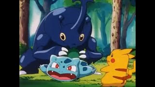 Heracross annoying Bulbasaur compilation [upl. by Melisenda]