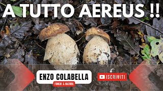 A tutto AEREUS  🍄 Porcini 5 novembre 10 minuti di passione 💓 Funghi 2023 [upl. by Ecirual726]