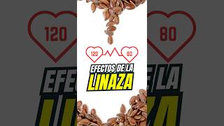 Cómo la Linaza Puede Reducir tu Presión Arterial y Colesterol [upl. by Ennyrb652]