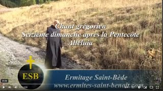 Alléluia Cantate Domino du 16e dimanche après la Pentecôte  Ermitage SaintBède JC Guerguy CAL [upl. by Kendre]